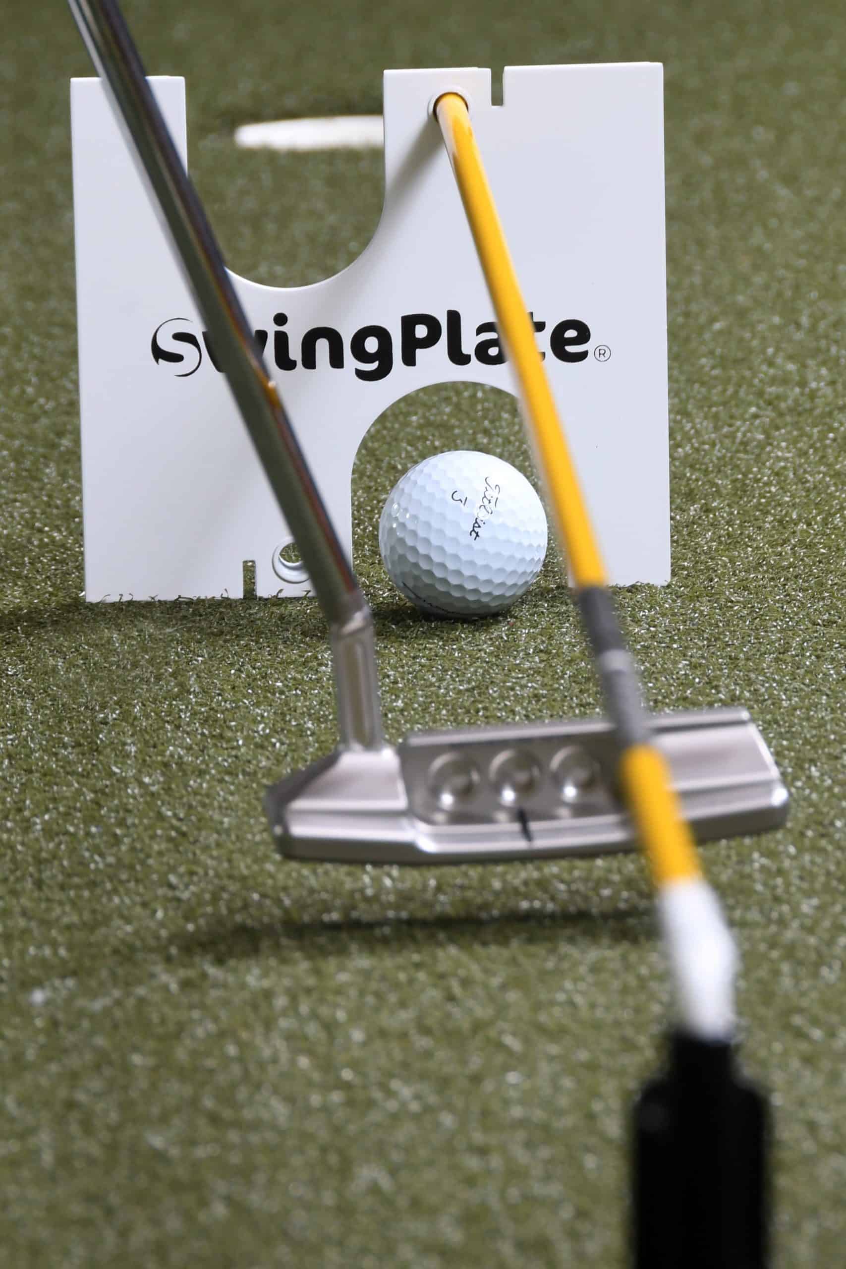 Putting-gate-04-min-scaled-1