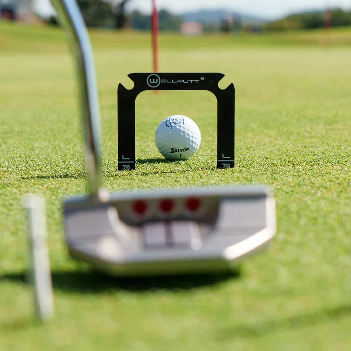 Wellputte-Wellgate-9