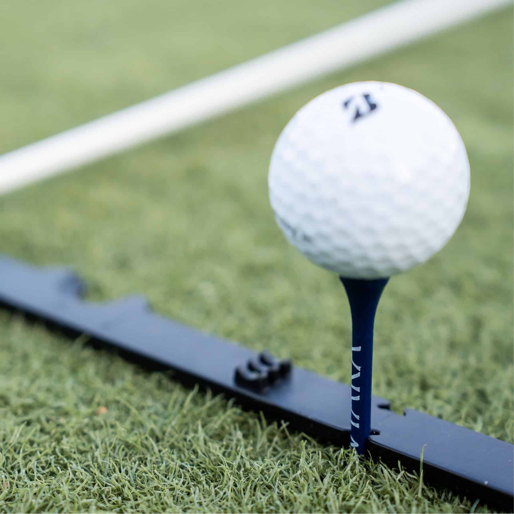 1_9d360a8e-f20d-4dd5-85cd-edcdee00e16d_1800x1800