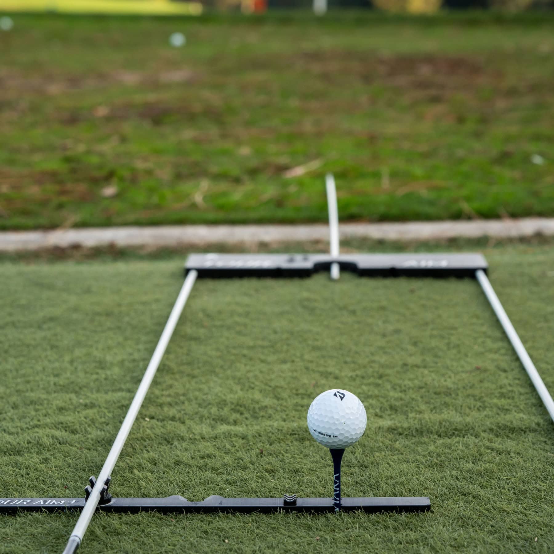 5_8adfb0bb-f56a-4270-835c-d06b620a53b0_1800x1800